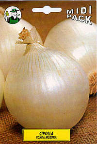 cipolla bianca musona