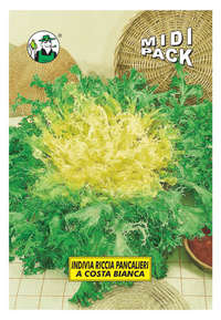indivia riccia Pancalieri