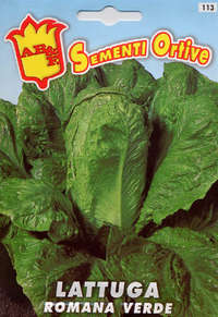 lattuga romana verde