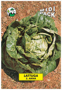 lattuga S. Anna