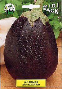 melanzana tonda