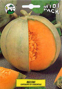 melone catalupo