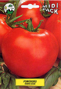 pomodoro tondo Ace
