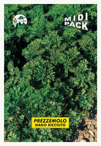 prezzemolo nano ricciuto