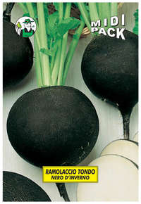 ramolaccio tondo nero
