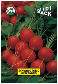 ravanello rosso quarantino