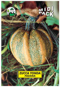 zucca tonda padana