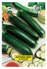 zucchino nero di Milano