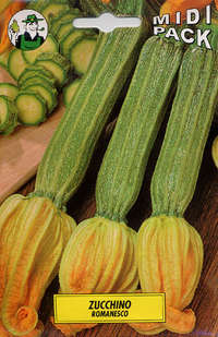 zucchino romanesco