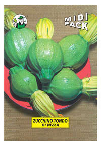 zucchino tondo di Nizza