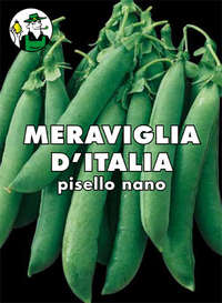 pisello Meraviglia d'Italia nano