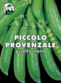pisello Piccolo Provenzale nano