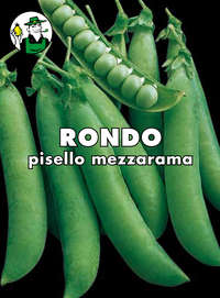 pisello Rondo mezzarama