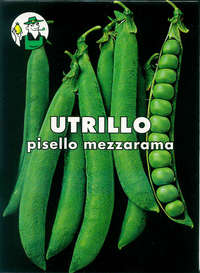 pisello Utrillo mezzarama