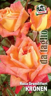 rosa grandifiori Kronen